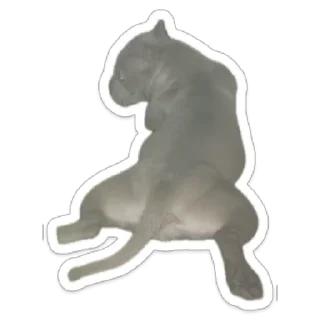 Sticker from KoLoBaKa