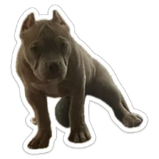 Sticker from KoLoBaKa