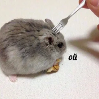 🤭 emoji говно хуйня и цитаты Telegram sticker 8 of 119