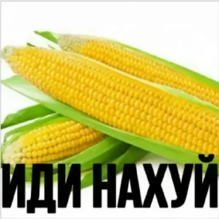 Sticker from Хуйня и Ватсапп
