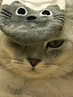 🤠 emoji говно хуйня и цитаты Telegram sticker 3 of 119