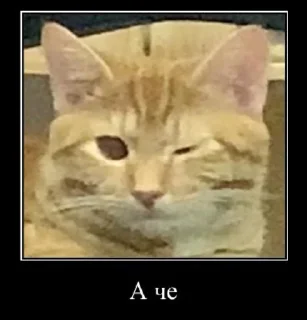 😉 emoji говно хуйня и цитаты Telegram sticker 4 of 119