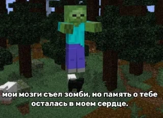 Sticker from майнкрафт