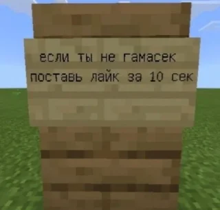 Sticker from Майнкрафт @minemems1