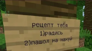 Sticker from Майнкрафт @minemems1