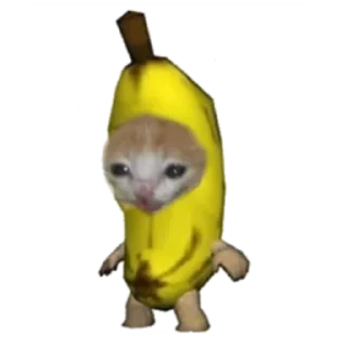 🍌 emoji Типо коты еда (@sofa_gachaUkraine) Telegram sticker 5 of 19