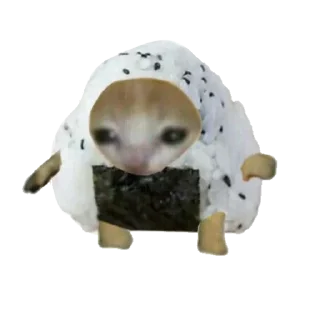 🍙 emoji Типо коты еда (@sofa_gachaUkraine) Telegram sticker 8 of 19