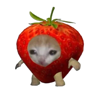 🍓 emoji Типо коты еда (@sofa_gachaUkraine) Telegram sticker 11 of 19