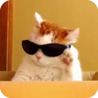 😎 emoji @just_a_humble_cat Cat Springverse Telegram sticker 23 of 120