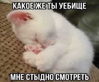 Sticker from Агро котяры😾 @stiki321