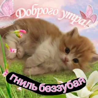 Sticker from Агро котяры😾 @stiki321