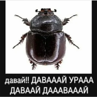 Sticker from э)