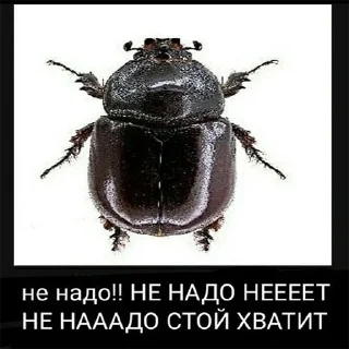 Sticker from э)