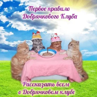 🥰 emoji Кошеня Telegram sticker 17 of 34