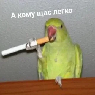 🤨 emoji Больше стиков 👉 @premiumstikery Telegram sticker 20 of 120
