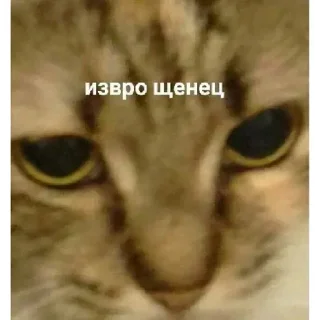🤪 emoji Больше стиков 👉 @premiumstikery Telegram sticker 9 of 120
