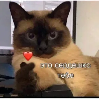 🥰 emoji Больше стиков 👉 @premiumstikery Telegram sticker 22 of 120