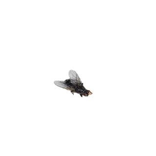 🖼 emoji кузик еще живет Telegram sticker 16 of 88