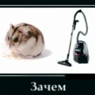 ⁉️ emoji Еще стикеры - @The_Pako Telegram sticker 15 of 102