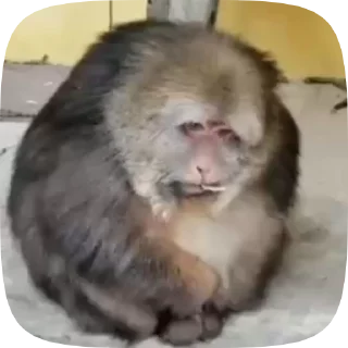 😢 emoji Больше стиков тут: @stikery4 Telegram sticker 7 of 50