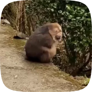 👋 emoji Больше стиков тут: @stikery4 Telegram sticker 20 of 50