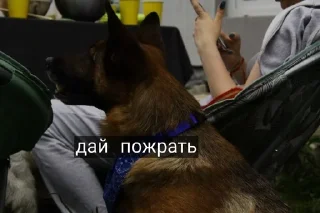 🥔 emoji 🐺~^надечка^~🐺 Telegram sticker 20 of 30