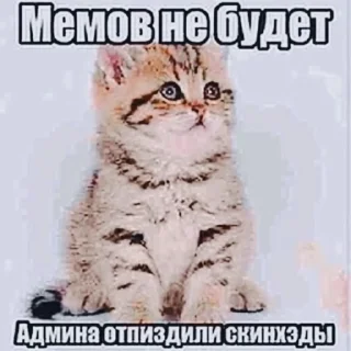 😭 emoji Дрочу на твоего папашу ➡️ @Ctikerubot Telegram sticker 18 of 49