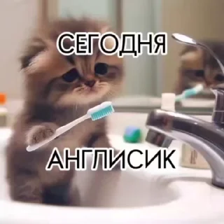 😭 emoji Дрочу на твоего папашу ➡️ @Ctikerubot Telegram sticker 1 of 49