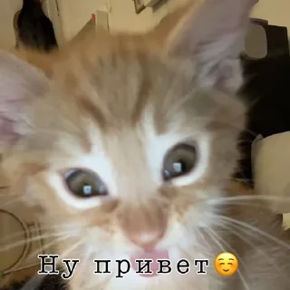 Sticker from Важные переговоры