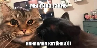 🥰 emoji вротебал Telegram sticker 7 of 118