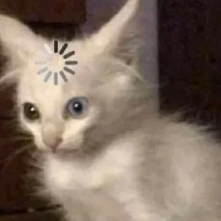 Sticker from котики яна