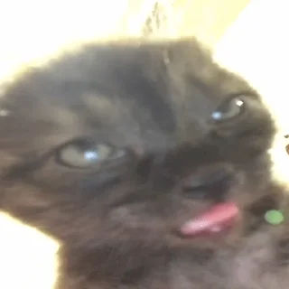 😜 emoji Яна Цист Telegram sticker 15 of 35