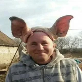 🐷 emoji Яна Цист Telegram sticker 19 of 35