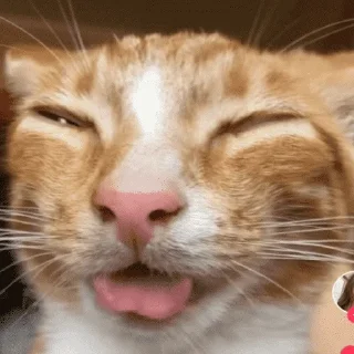 😝 emoji Яна Цист Telegram sticker 11 of 35