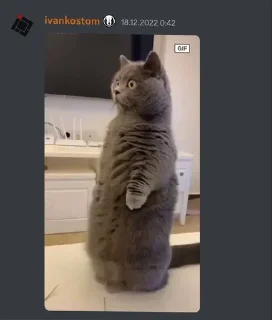 😳 emoji Иван Костомаров Telegram sticker 5 of 29
