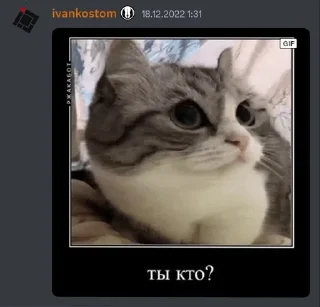 Sticker from Иван Костомаров