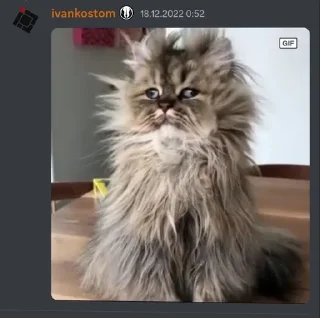 Sticker from Иван Костомаров