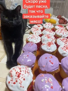 Sticker from Васса