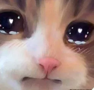 🌟 emoji Catsloving Telegram sticker 17 of 40