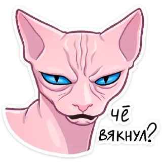 Sticker from Рамзес (@TgSticker)