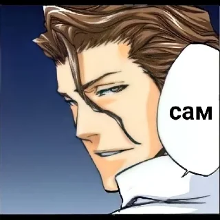 😄 emoji Айзен соло Telegram sticker 12 of 18