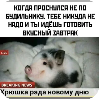 🐶 emoji Автор пака долбоёб Telegram sticker 12 of 21