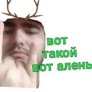 🦌 emoji Автор пака долбоёб Telegram sticker 5 of 21