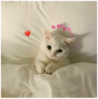 ❤️ emoji 💕💕💕 Telegram sticker 17 of 51