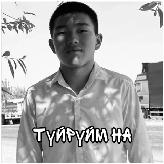 Sticker from Краш