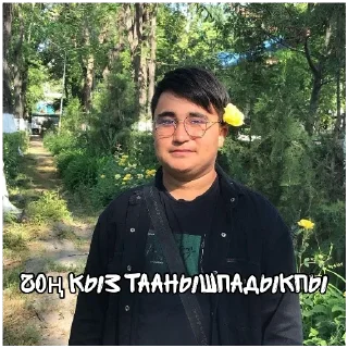 Sticker from Краш
