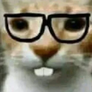 🤓 emoji i want to kms Telegram sticker 7 of 57