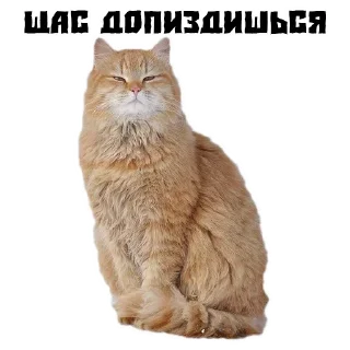 😡 emoji ㅤㅤMyStikersFl1ckㅤㅤ Telegram sticker 5 of 28