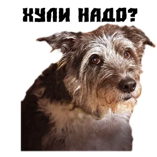 😭 emoji ㅤㅤMyStikersFl1ckㅤㅤ Telegram sticker 11 of 28