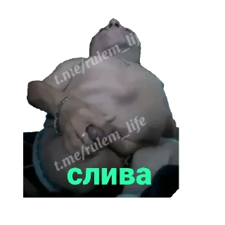 🟣 emoji Василий🥵🥵🥵 Telegram sticker 16 of 120